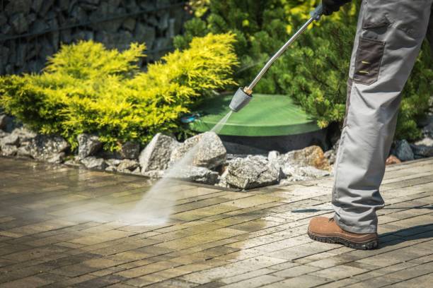 Best Rust and Stain Removal in Cienega Springs, AZ